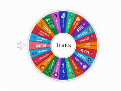 Traits