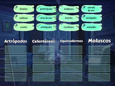 Clasificación de los animales invertebrados