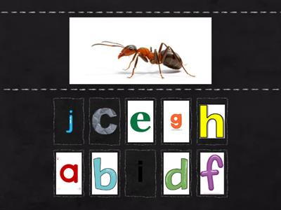 Find the first sound (a-j) 4yo