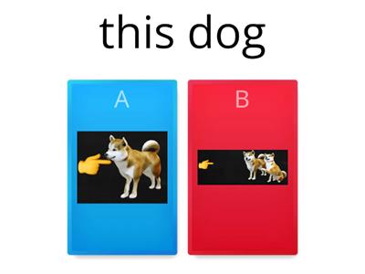 this/that/these/those game 
