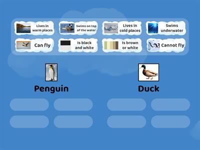 Penguin/Duck compare and contrast