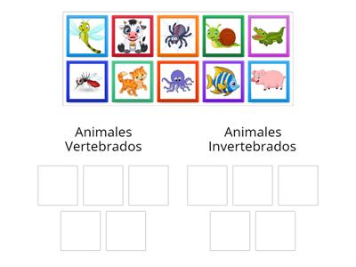 Clasifica los animales vertebrados e invertebrados según corresponda.