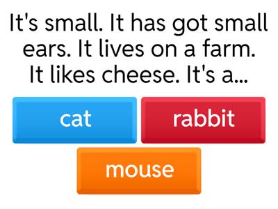 3rd grade animals