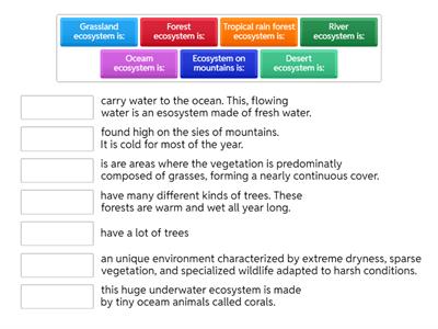 definiciciones ecosystem