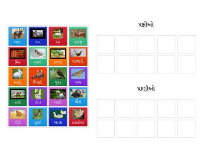 પ્રાણી અને પક્ષી 