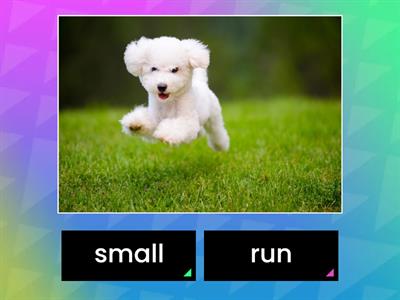 L9 At The Market (Grammar)