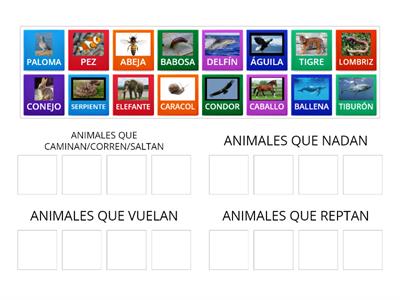 DESPLAZAMIENTO DE LOS ANIMALES