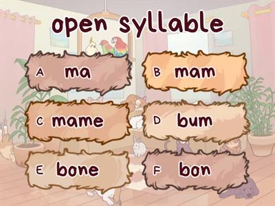 Syllable Types