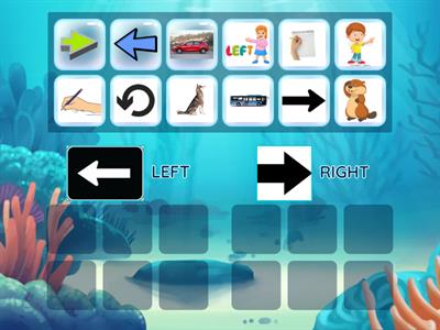 LEFT/RIGHT DIRECTION