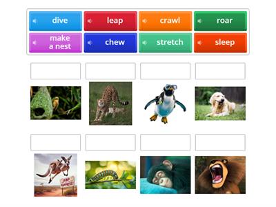 Beehive 4, unit 1, lesson 3