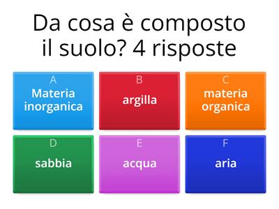 QUIZ SUL SUOLO
