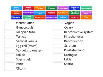Екі қыз бір-бірінің бетіне сұқпалады