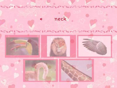 Super Safari 2 animals body