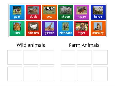 Kid's Box 3 Un 7 Animals