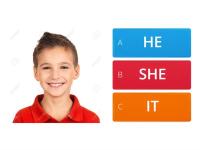 pronouns