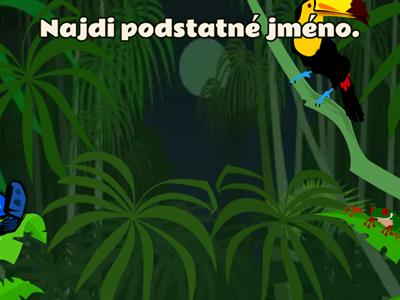 PODSTATNÁ JMÉNA