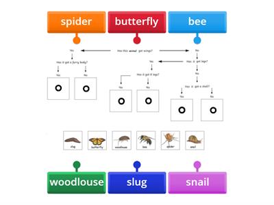 Classification key - flow chart