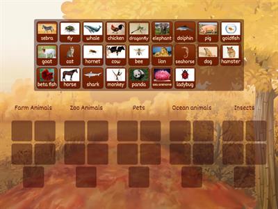 Category Sorting (Animals)