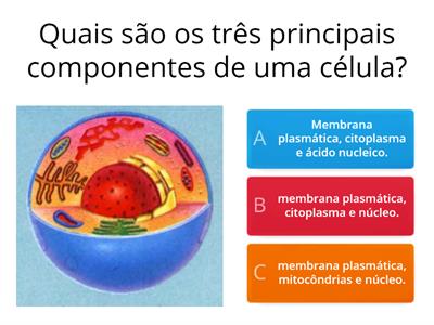  CÉLULAS 6º ano