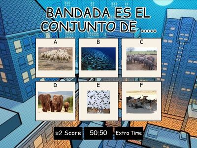 DESAFÍO DE VELOCIDAD