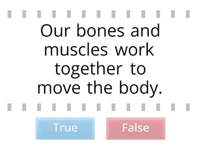 skeletal and muscular systems