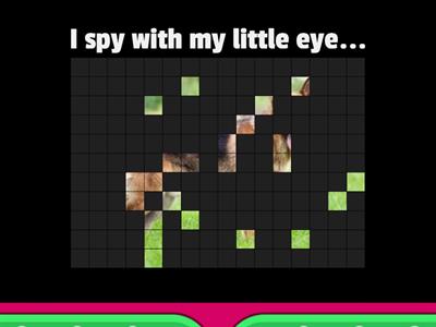 I spy with my little eye... (1.1)