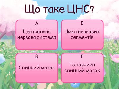 Спинний мозок