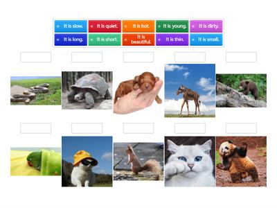 It is ... (+ adjective ) Match up 2