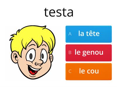 FRANCESE (quiz) : LESSICO SUL CORPO