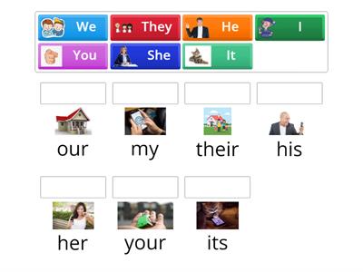 Possessive determiners