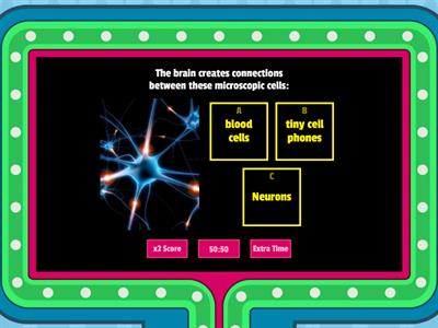 The Nervous System by Dr. Binocs