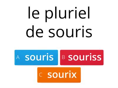 le pluriel des noms en francais