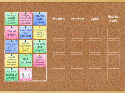 Comparing Biomolecules