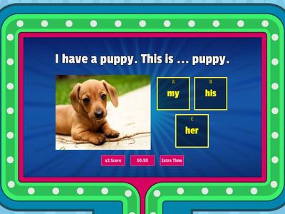 Possessive adjectives Gameshow quiz