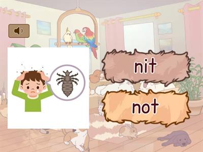 SATPIN Reading Words