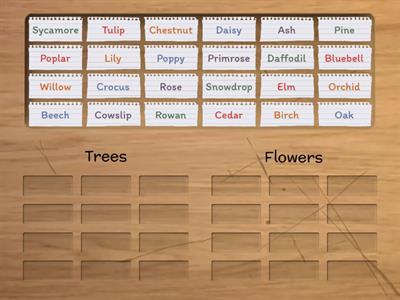 Trees or Flowers