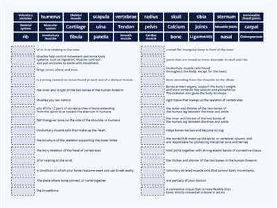 Skeletal System and Muscular System