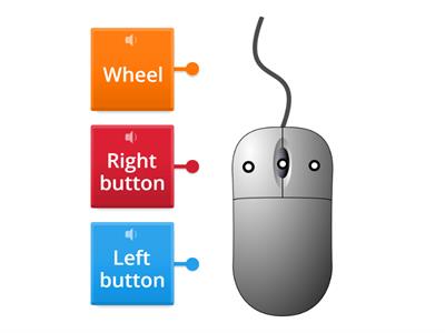 Label the parts of the Computer Mouse