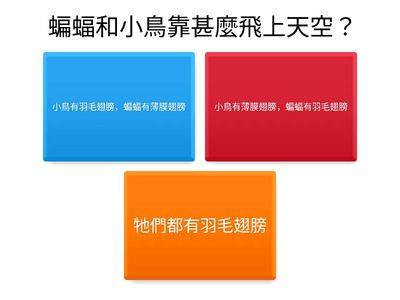 🦇🐦蝙蝠VS小鳥