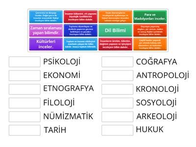 SOSYAL BİLİMLER VE TOPLUM
