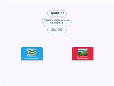 Су-тіршілік көзі