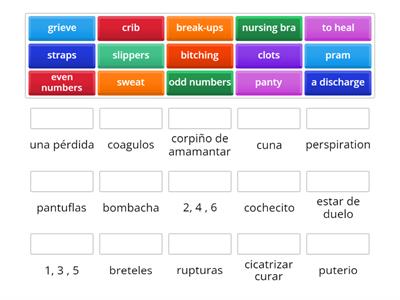 MG Vocabulary Revision from February and March 2024 