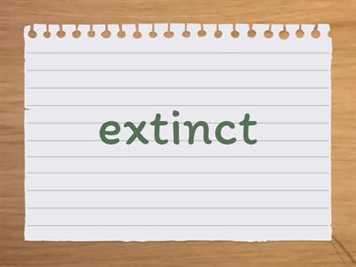 11 класс 3 раздел