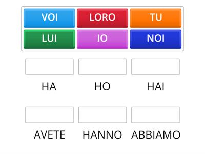 Il verbo AVERE