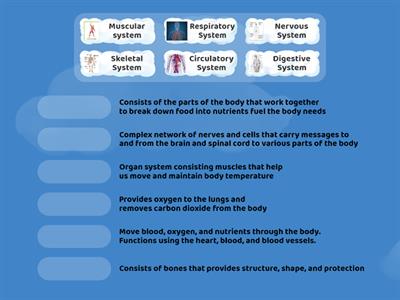 Body Systems