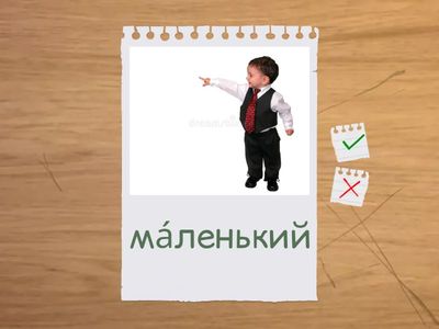Тематическая группа слов "Внешность, части тела человека". ТРКИ, уровень А1