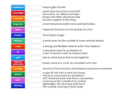 Science: Structures Used for Support, Movement and Protection