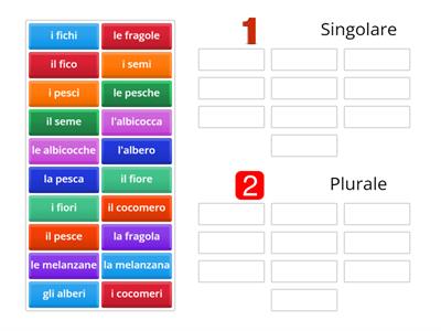 Singolare e plurale