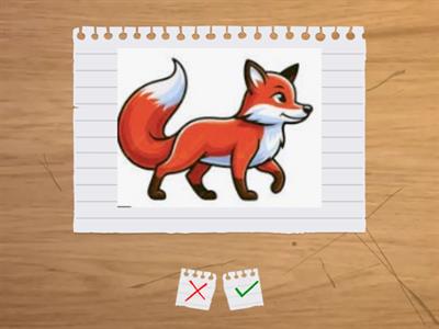 Flash cards personaggi Gingerbread Man