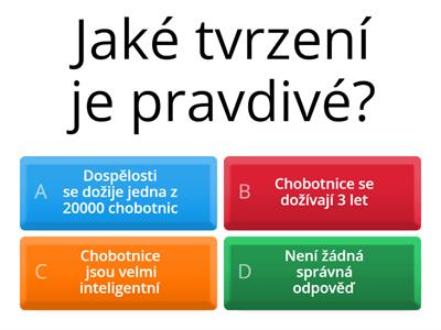 Kvíz hlavonožci